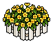 Blooming Flowers