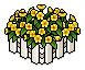 Blooming Flowers