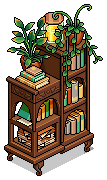 Thrifted Bookshelf