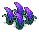 Dark Fruit