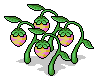 Earth Fruit