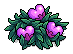 Fairy Fruit