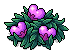 Fairy Fruit