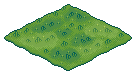 Farm Grass