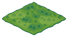 Farm Grass