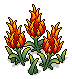 Fire Fruit