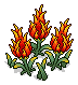 Fire Fruit