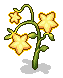 Light Fruit
