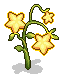 Light Fruit