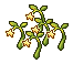 Light Seeds