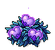 Dazzling Fairy Fruit