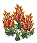 Dazzling Fire Fruit