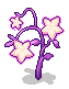 Dazzling Light Fruit