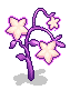 Dazzling Light Fruit