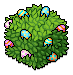 Painted Egg Bush