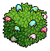 Painted Egg Bush