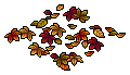 Autumn Fallen Leaves