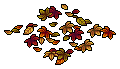 Autumn Fallen Leaves