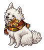 Autumn Samoyed