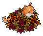 Autumn Shiba Inu