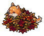 Autumn Shiba Inu