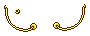 Star Ring Float
