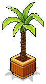 HC Potted Tree