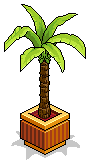 HC Potted Tree