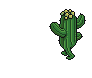 Bobba Cactus