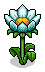 Mega Flower