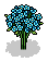 Garden Daisies
