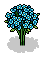 Garden Daisies