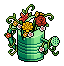 Regular Watering Can