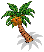 Desert Palm Tree