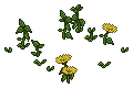 Garden Weeds