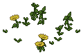 Garden Weeds