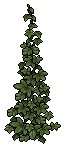 Climbing Weeds