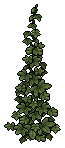 Climbing Weeds