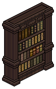 Floor-to-Ceiling Bookshelf