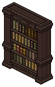Floor-to-Ceiling Bookshelf