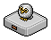 Tiny Owl