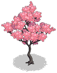 Sakura Season Tree