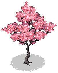 Sakura Season Tree