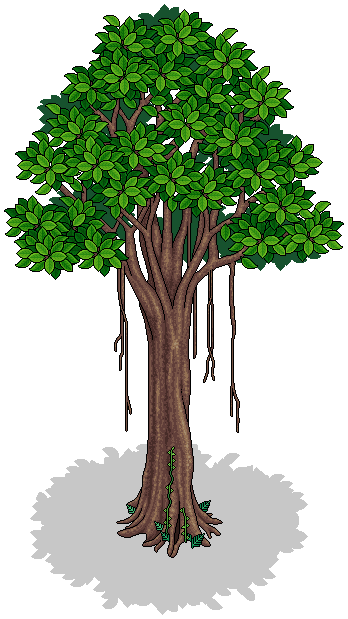 Banyan Tree