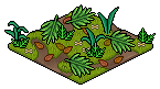 Jungle Floor