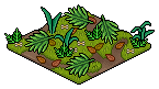 Jungle Floor