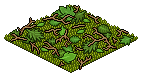 Leaf-Strewn Floor