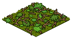 Leaf-Strewn Floor