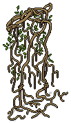 Hanging Vines