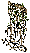 Hanging Vines
